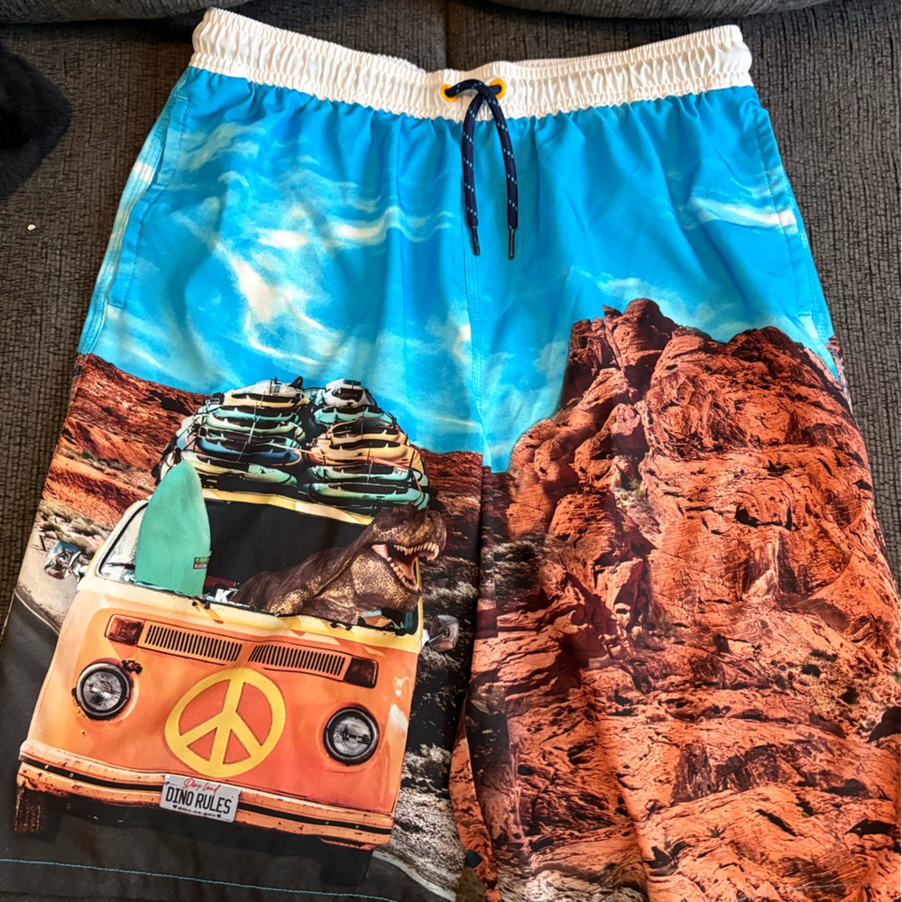 Men's Beach Swim Trunks with Orange Van & Blue Sky Print
